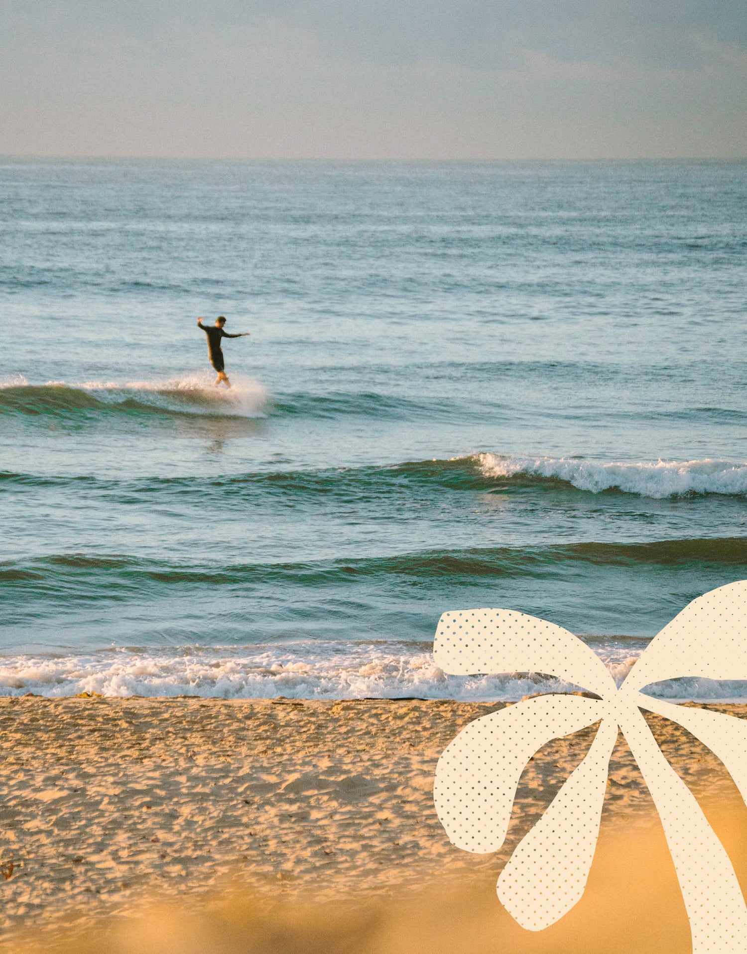 A surfer catching waves at Freshwater Beach